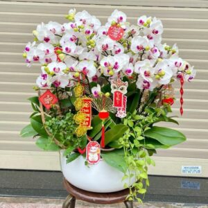 lan hồ Điệp song hỷ