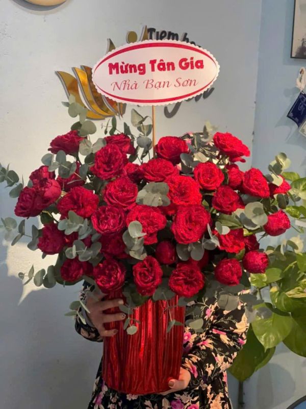 Hoa Chúc Mừng Tân Gia Nên Chọn Mẫu Nào Đẹp Và Ý Nghĩa?