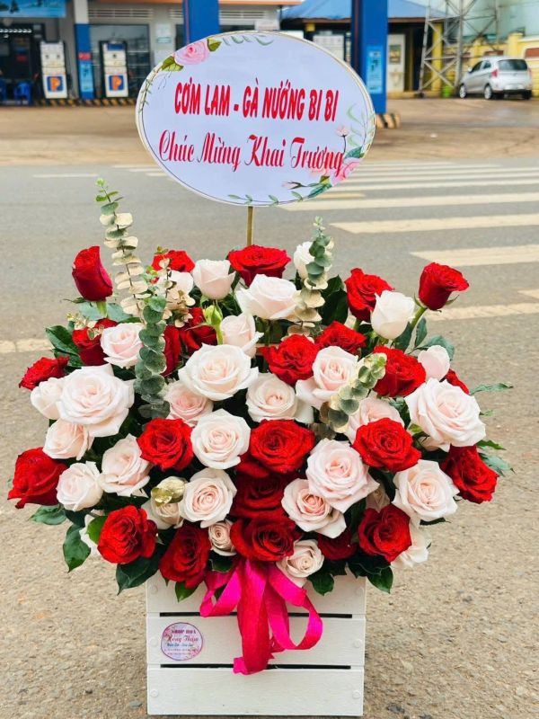 hoa-khai-truong-toi-gian-7